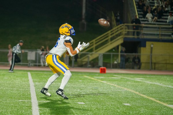 Wie können Haustiere unseren Alltag bereichern?